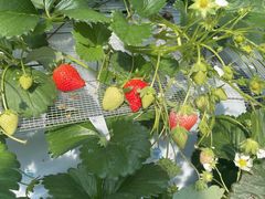 w~Î_sAbc@ւ̓eʐ^1