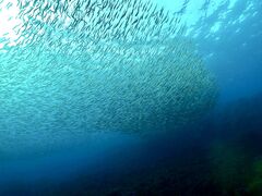 ̈ɓ_CrOXN[aJXւ̓eʐ^1