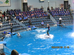 񂿂񂳂̃}NZ ANAp[Niւ̓eʐ^1