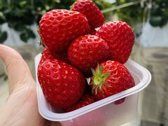 Jî񂽃t@[ւ̓eʐ^1