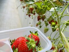 Jî񂽃t@[ւ̓eʐ^3