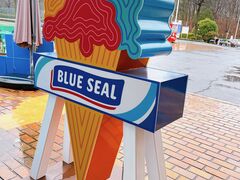 z ̓ h j[TsAʂ̎ʐ^1