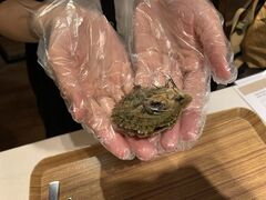 ՂՂ񂿂コ̐^̌ HAPPY PEARLւ̓eʐ^1