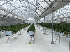 �䂤����̂��ꂵ���̂�ւ̓��e�ʐ^1