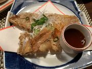 ݂񂳂̔\̑ 艮̓eʐ^1