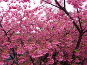 }[`̉͒Í܂̓eʐ^1