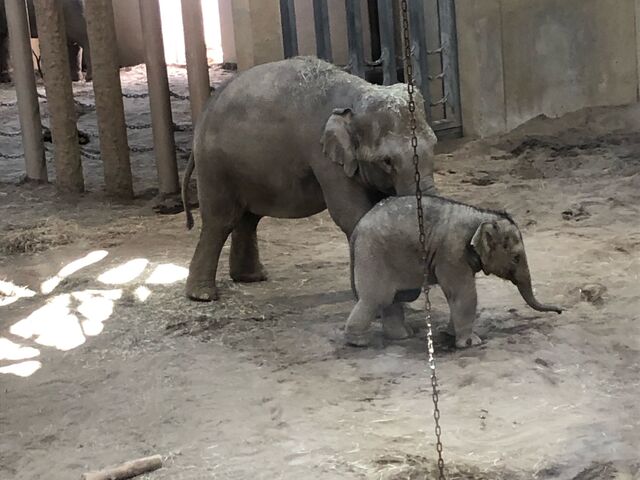 �e�ۂ����Ȃ�̊Â���V�ŉ������čs���������ƌ��Ă����������ł��B_�~�R����