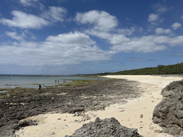 �C�݂̗l�q�ł�
�����߂��ɃW���������Y�㗤�̒n������܂���_�s���A���n�@�_�C�r���O�T�[�r�X