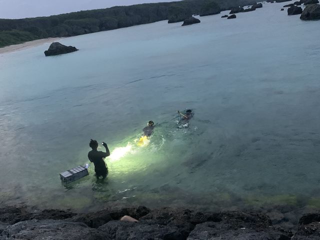 18:30������_Like Daddy