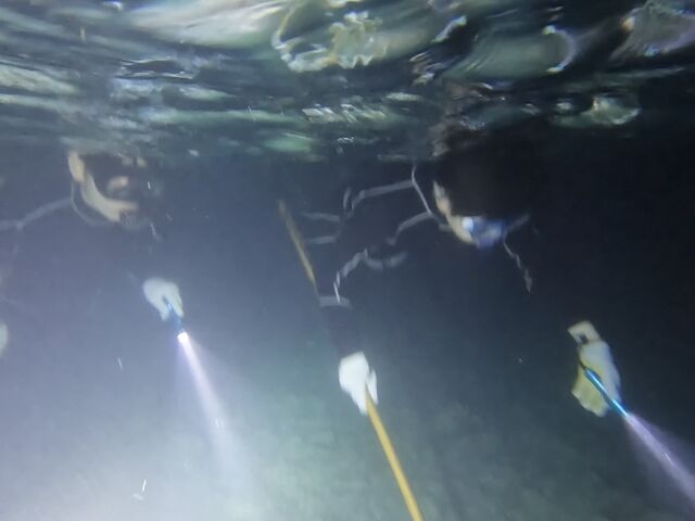 �����ǂ����ȁ[_Like Daddy