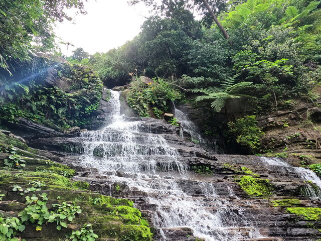 �Q�[�_�̑�_���\���c�A�[NGAF