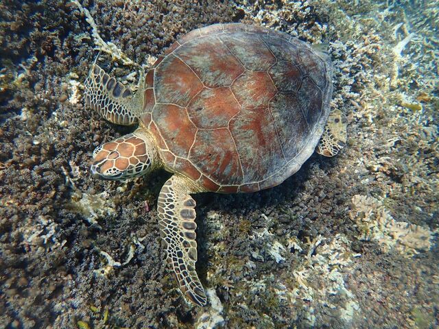 3�C��܂���_�}�������B���b�W����