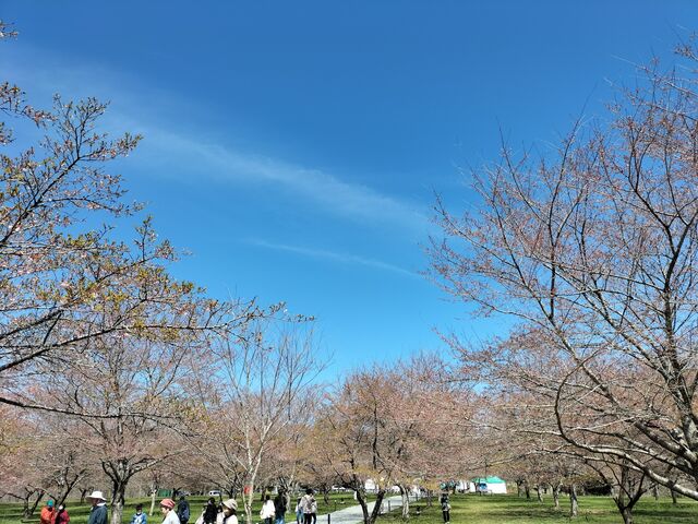 �������猩�������̗l�q�B���炢�Ă܂���B_�������� ��������̗�