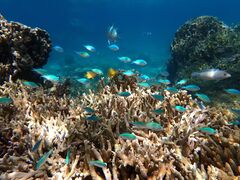 iĨsAn@_CrOT[rXւ̓eʐ^3