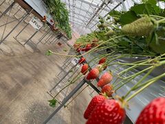 riku����͖̉{�t�@�[�����������ւ̓��e�ʐ^1