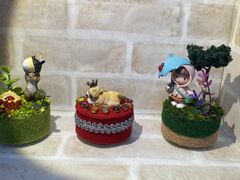 [񂳂̃IS[̉Ƃւ̓eʐ^1