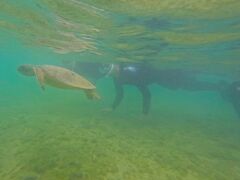 イOCEAN LIFEւ̓eʐ^1