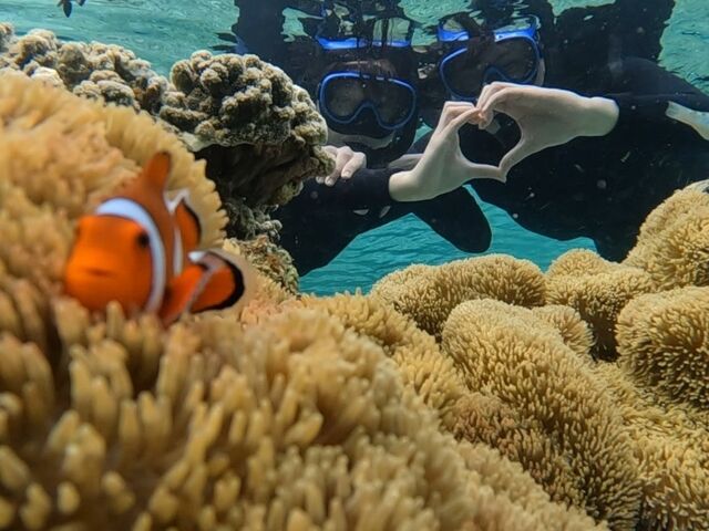 Nemo~~~_�{�Ó� ADVENTURE PiPi