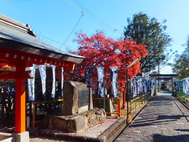 Q̒UԂƂBFEY̕\肪܂B_{_