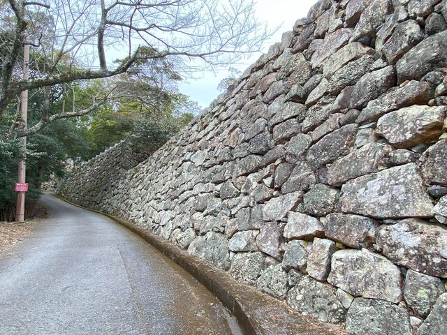 �O�F�R�F�F�{��{�ۂ�_�O�F�R