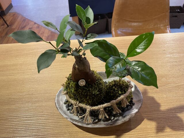 �v�w���ۋʂō��A�N�e�B�r�e�B�ł����B_�ɐ��v�w��߂��Ɖ���