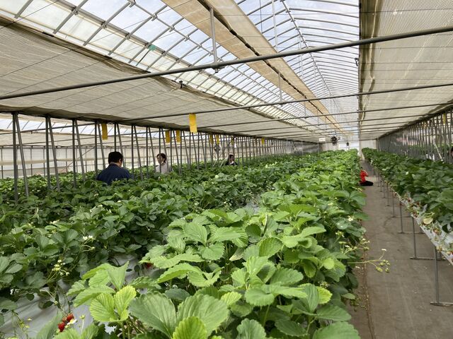 �L���̂ŁA���̂��q�l�Ƃ̊Ԋu���C�ɂȂ�܂���_�R���R���������t�@�[��