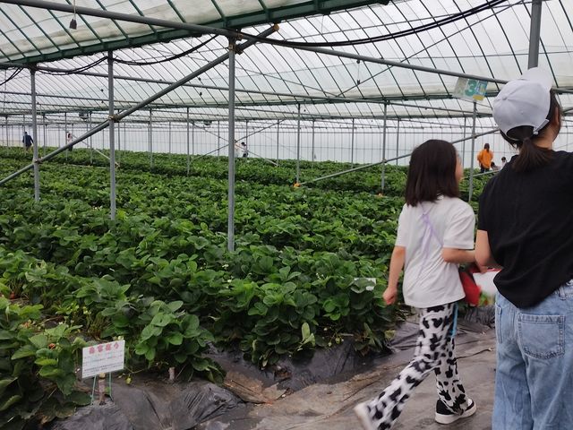 �n�E�X���̏�_�ό��_�����E�t���[�Y