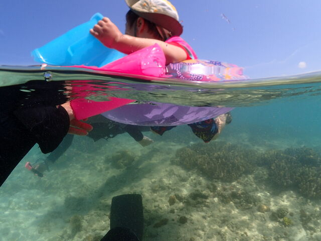 �����^�C�v�̕����ւň��S��������܂����B_�}�����V���b�v����