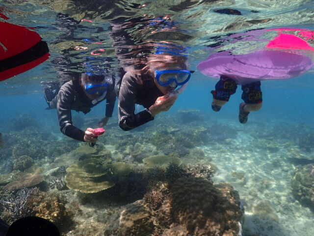 �q�����痣��Ȃ��悤�z�����Ă��������āA���S���ċ����Ď@�ł��܂����B_�}�����V���b�v����