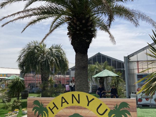 �썑���ȓ����Ńe���V�����オ��_���R�t�@�[���g�`�m�x�t