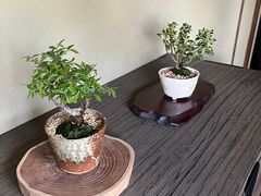 Ŕu゠~́vÂ胏[NVbvւ̓eʐ^1