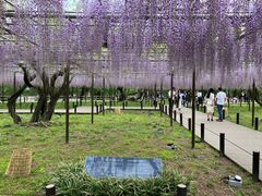 ���݂�������̉�������ւ̓��e�ʐ^1