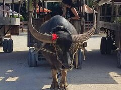 ܂񂳂̔dRόtF[ւ̓eʐ^1