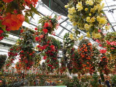 hidepo̓@Ԃ߂ւ̓eʐ^1