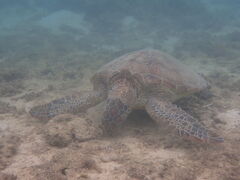 miyãV[gx[ւ̓eʐ^1