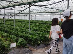 񂳂̊ό_Et[Yւ̓eʐ^1