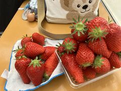 �̂Ԃ��񂳂�̐X�c���������ւ̓��e�ʐ^1