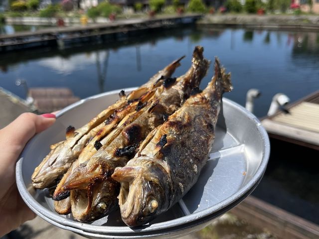 2�l���̃j�W�}�X_�x�m����ڂ�