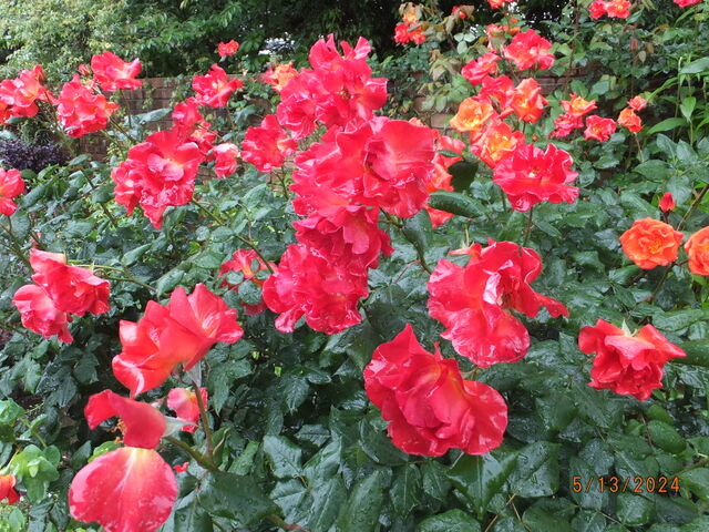 O`̂͂܂܂t[p[N̓eʐ^2