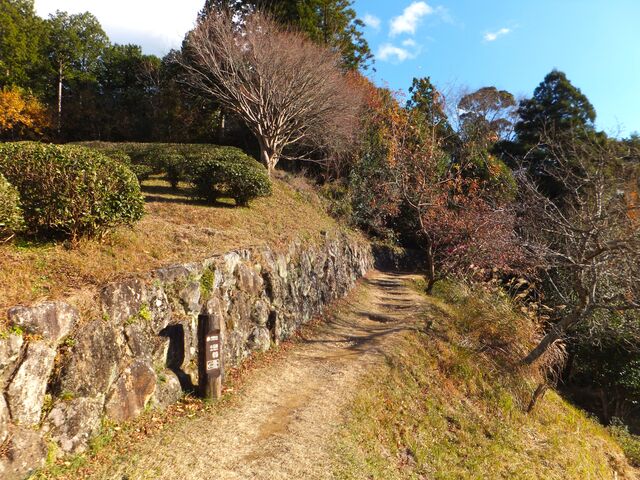 ���q���q�Ղ���F��{�{��ЂɌ��������F�ƂĂ����͋C���ǂ������B_�F��Ó�