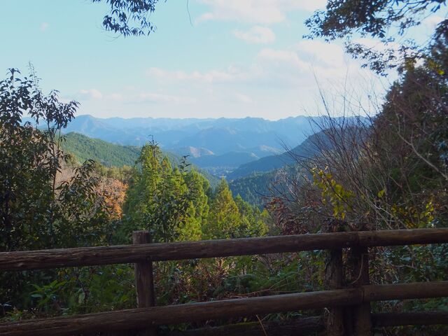 ���q���q�Ղ���F��{�{��Е��ʂ𒭂߂鎖���ł����B_�F��Ó�