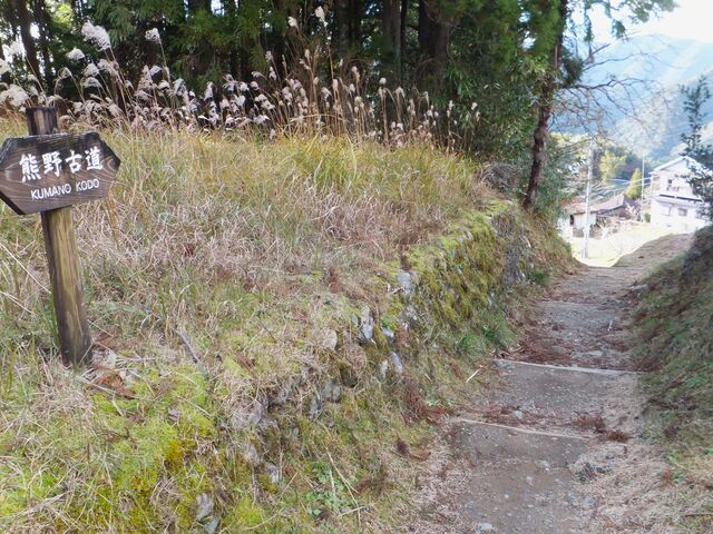 ���q���q�Օt�߂̌F��Ó�_�F��Ó�