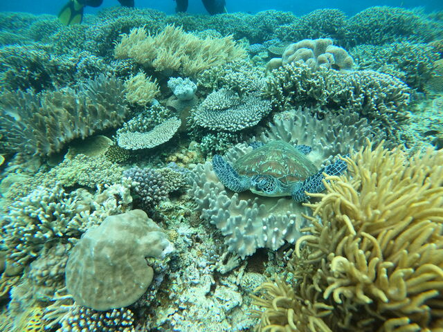 �E�~�K������܂���^ ^_�_�C�r���O�T�[�r�X�W���~���O