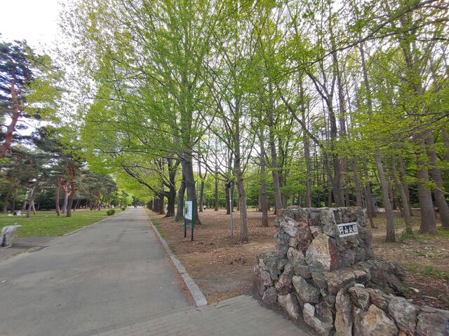 ���i_�~�R����