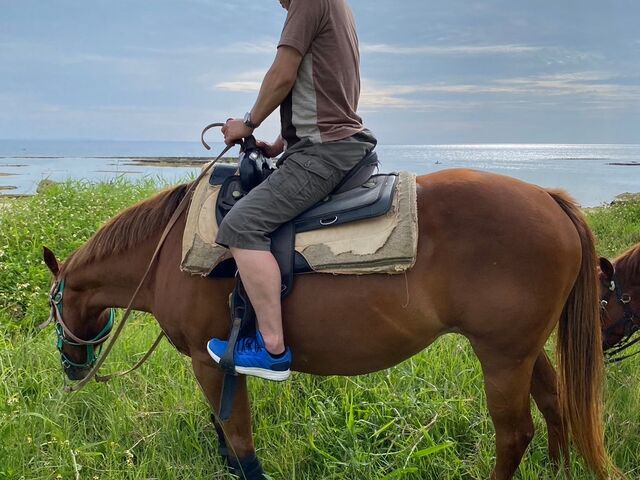 �D��ȎU���̂ЂƂƂ�_�����Ȃ��n��y��