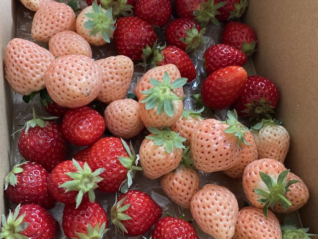 ����̕i��̂������������Ă��āA�H�׍��̂��̂����E�ݎ��܂����B�Â����肪���Ĕ����������ł���_�_Life�������̑�