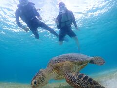 ryunico {Óւ̓eʐ^1