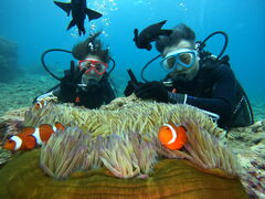 ܂񂳂̃}T[rXނʁ[ւ̓eʐ^1