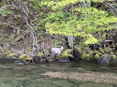 MIÕBgJ̓]ւ̓eʐ^1