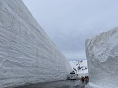 Ree̗RAy[gyxRzւ̓eʐ^1